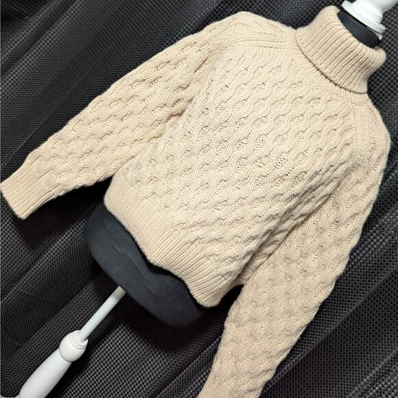 NWT! H & M! CHAMPAGNE BEIGE PINK COTTON+ CABLE KNIT TURTLENECK SWEATER! SZ L - Picture 1 of 7
